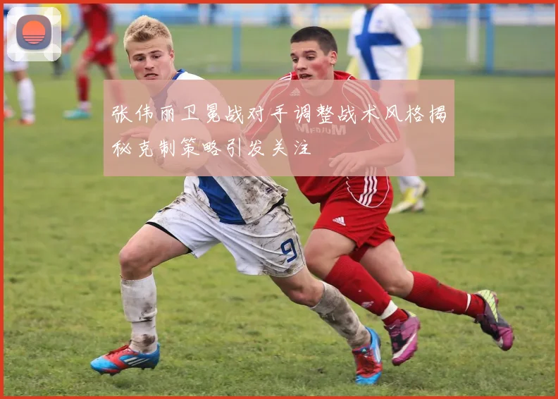 张伟丽卫冕战对手调整战术风格揭秘克制策略引发关注