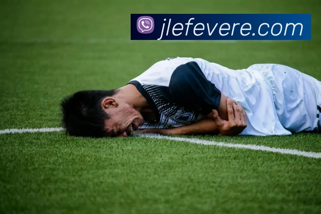 奖项证书